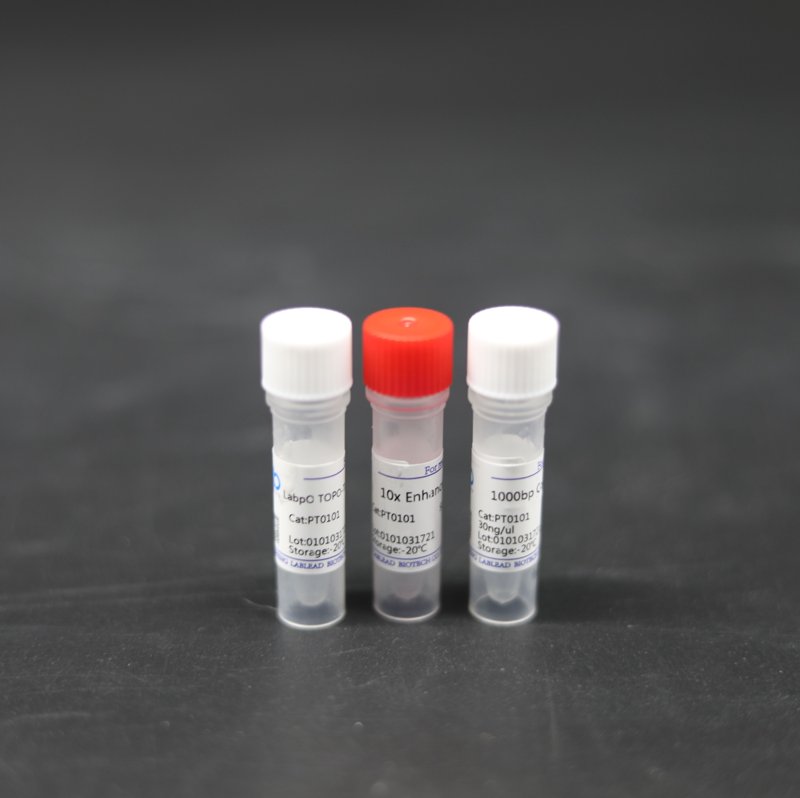 生物试剂选购指南:为科研添砖加瓦