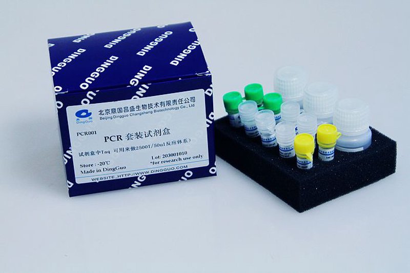 PCR试剂:现代医学的守护者